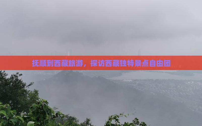 抚顺到西藏自由团