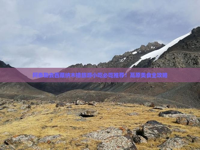 阿泰勒去西藏纳木措旅游小吃