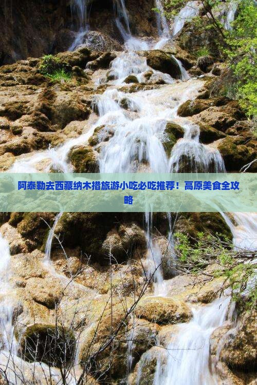阿泰勒去西藏纳木措旅游小吃