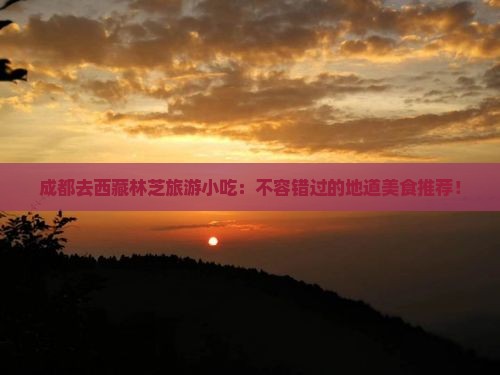 成都去西藏林芝旅游小吃