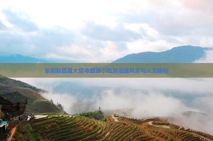 阜新到西藏大昭寺旅游小吃