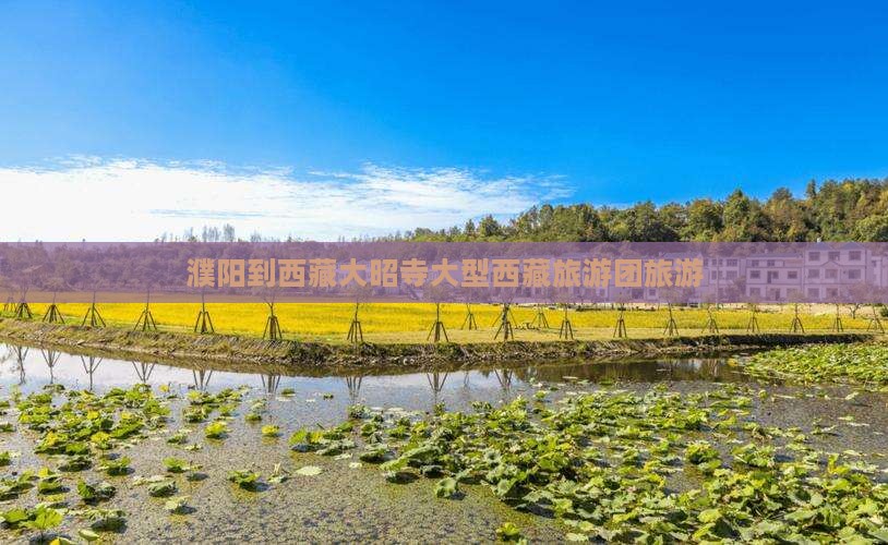 濮阳到西藏大昭寺大型旅游团