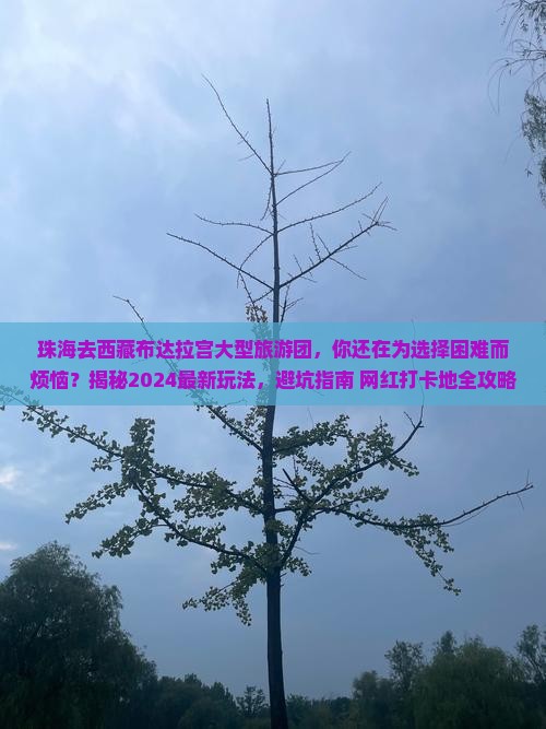 珠海去西藏布达拉宫大型旅游团