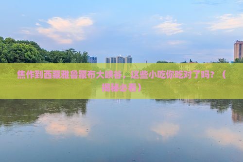 焦作到西藏雅鲁藏布大峡谷旅游小吃