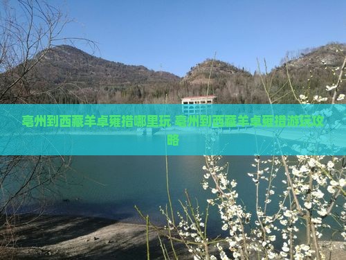 亳州到西藏羊卓雍措哪里玩