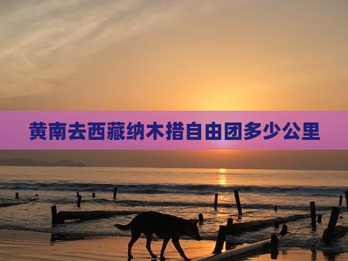 黄南去西藏纳木措自由团