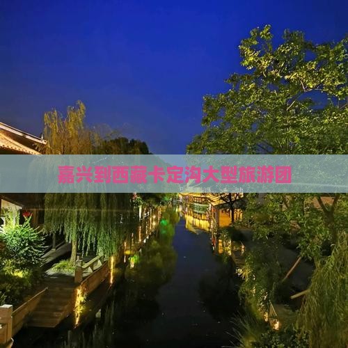 嘉兴到西藏卡定沟大型旅游团