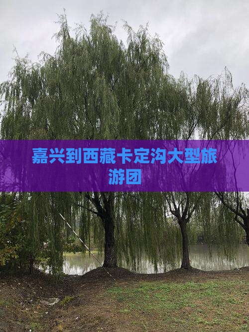 嘉兴到西藏卡定沟大型旅游团