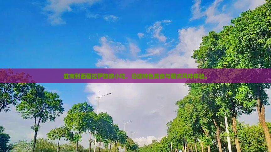 淮南到西藏拉萨旅游小吃