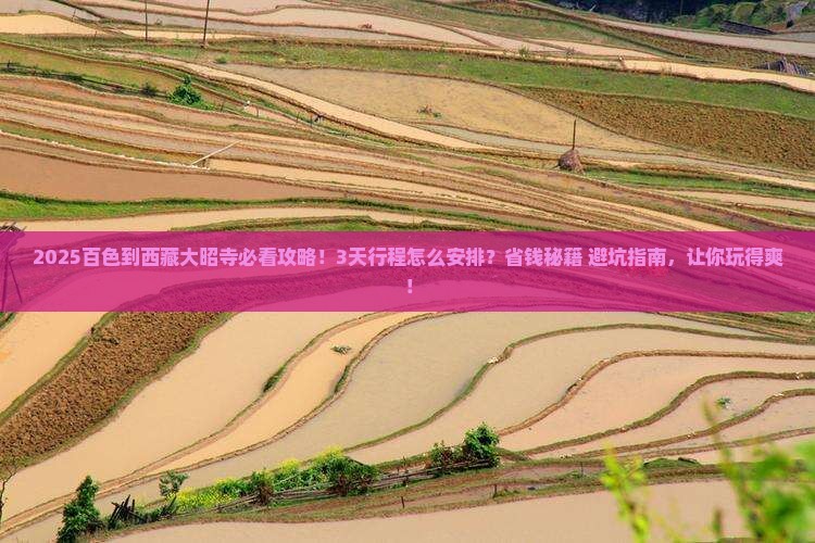 百色到西藏大昭寺攻略