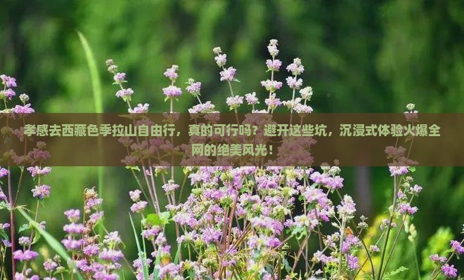 孝感去西藏色季拉山自由行