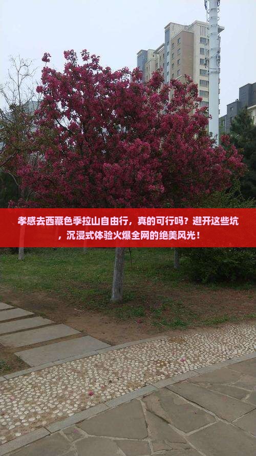 孝感去西藏色季拉山自由行