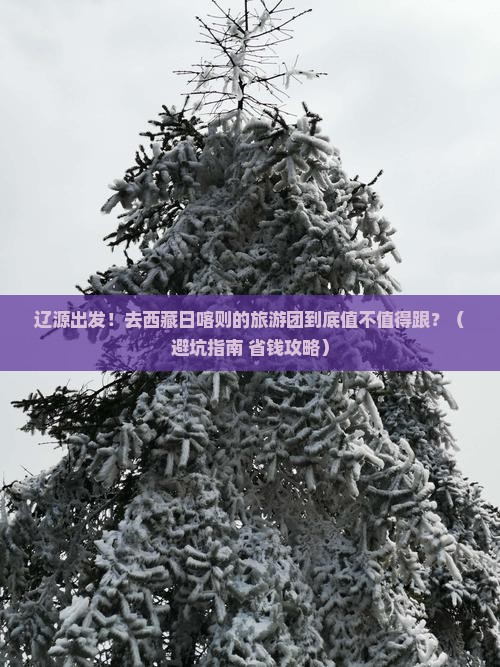 辽源到西藏日喀则大型旅游团