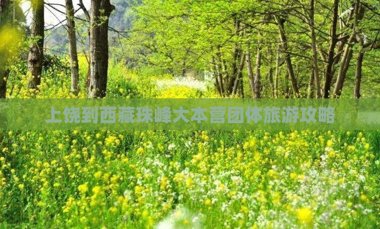 上饶到西藏珠峰大本营团体旅游