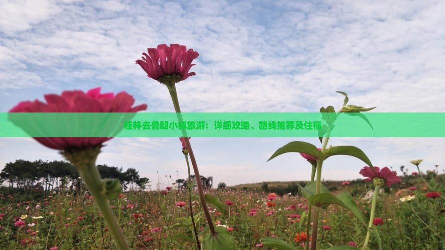 桂林去鲁朗小镇旅游：详细攻略、路线推荐及住宿