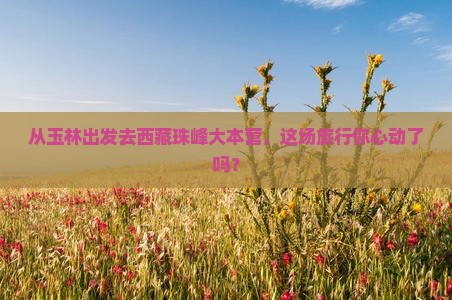 玉林到西藏珠峰大本营大型旅游团