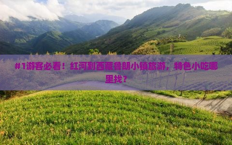 红河去西藏鲁朗小镇旅游小吃