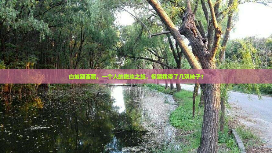白城到西藏个人游