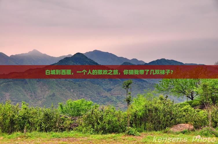 白城到西藏个人游