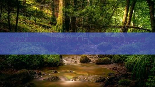 温州去西藏雅鲁藏布大峡谷哪里玩