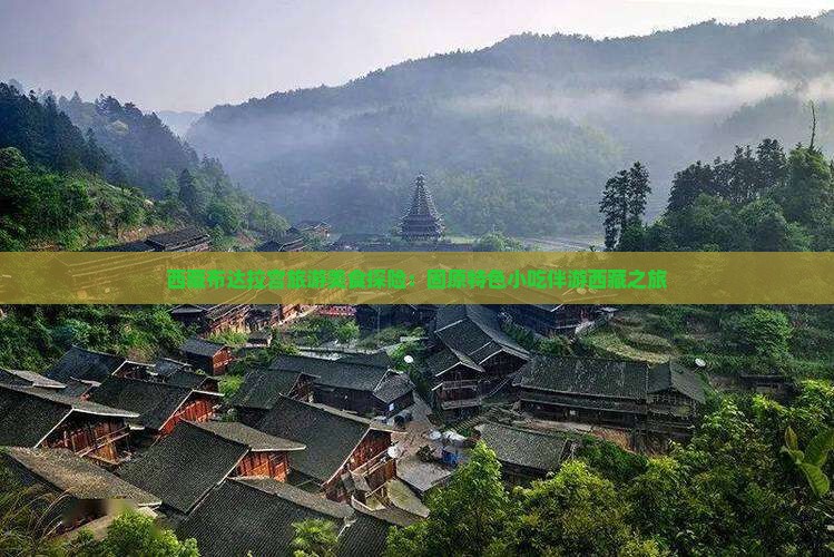 固原去西藏布达拉宫旅游小吃
