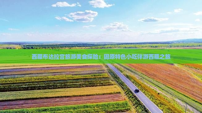 固原去西藏布达拉宫旅游小吃