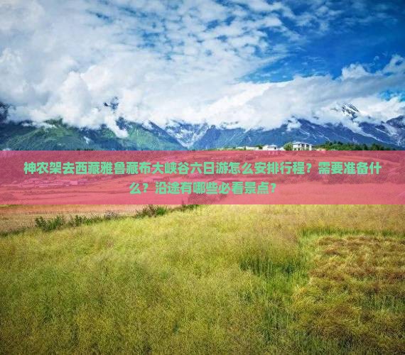 神农架去西藏雅鲁藏布大峡谷六日游