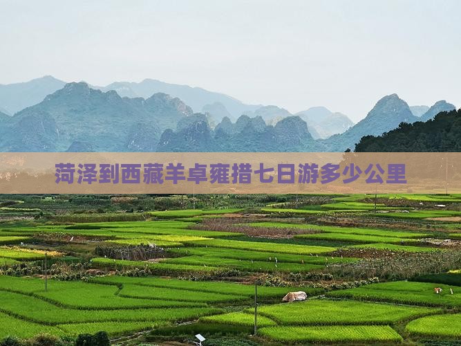 菏泽到西藏羊卓雍措七日游