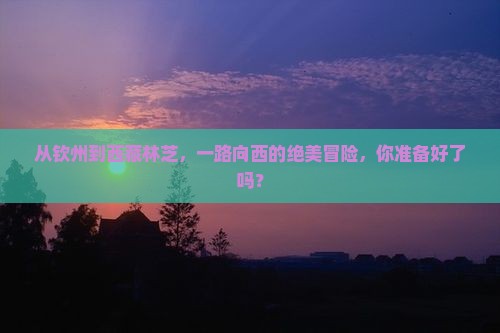 钦州去西藏林芝攻略