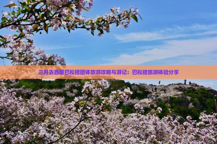 三月去西藏巴松措团体旅游