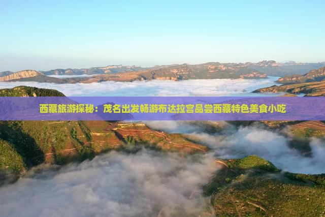 茂名到西藏布达拉宫旅游小吃