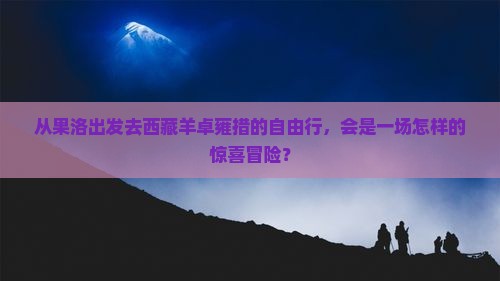 果洛到西藏羊卓雍措自由行