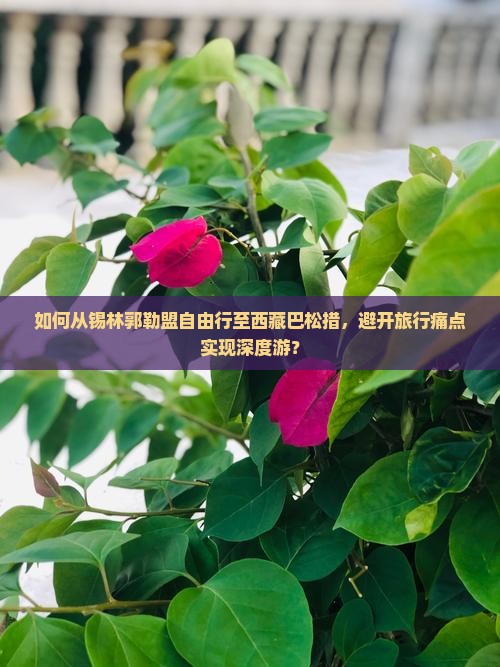 锡林郭勒盟到西藏巴松措自由行