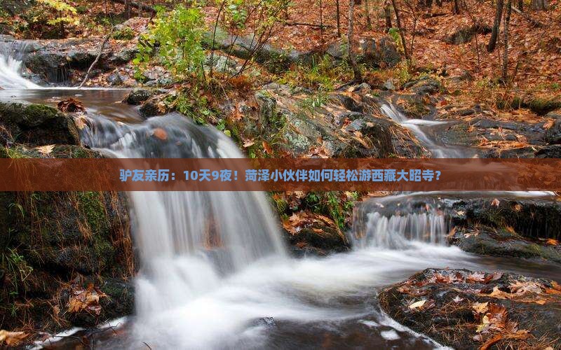菏泽到西藏大昭寺旅行社