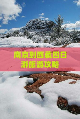 南京去西藏四日游