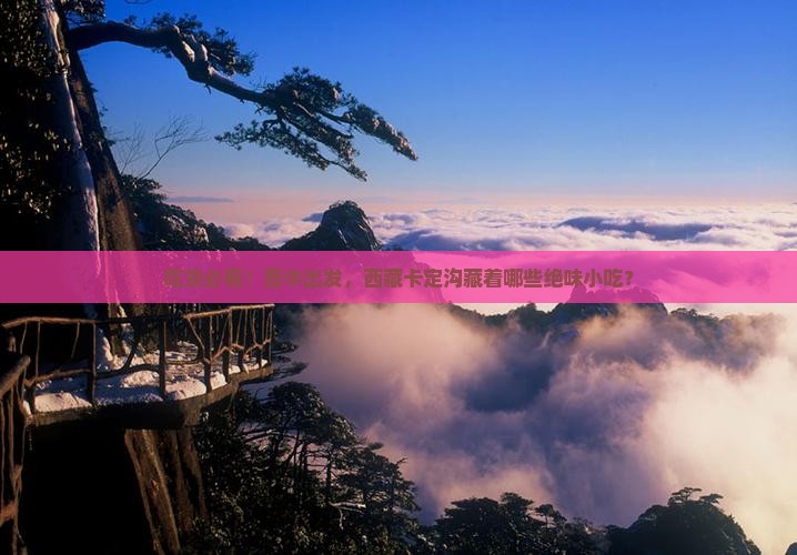 晋中去西藏卡定沟旅游小吃