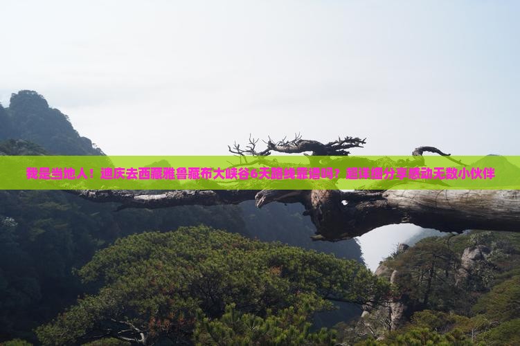 迪庆到西藏雅鲁藏布大峡谷六日游
