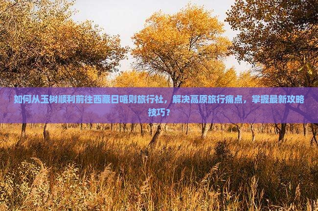 玉树去西藏日喀则旅行社