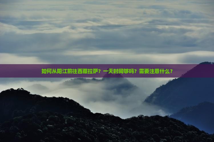 阳江去西藏拉萨一日