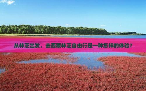 林芝到西藏林芝自由行