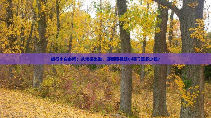 常德去西藏鲁朗小镇门票