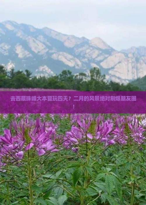 二月到西藏珠峰大本营四日游