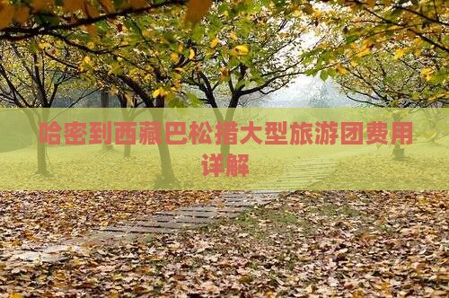 哈密到西藏巴松措大型旅游团 哈密到西藏巴松措大型旅游团