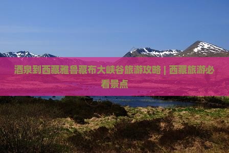 酒泉去西藏雅鲁藏布大峡谷旅游
