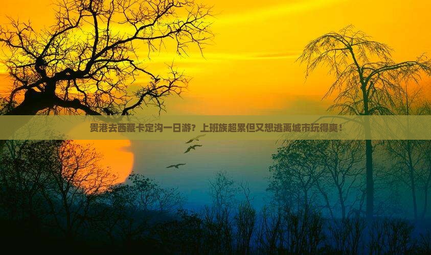 贵港去西藏卡定沟一日