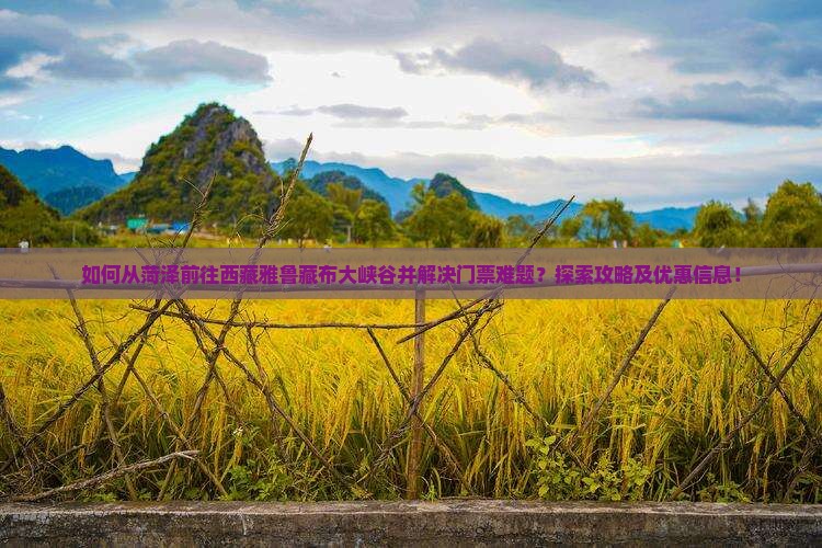 菏泽去西藏雅鲁藏布大峡谷门票