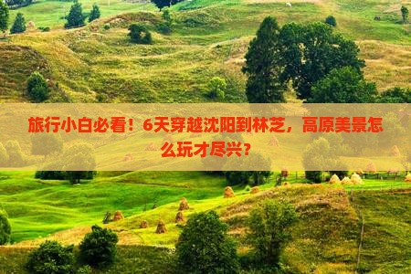 沈阳到西藏林芝六日游