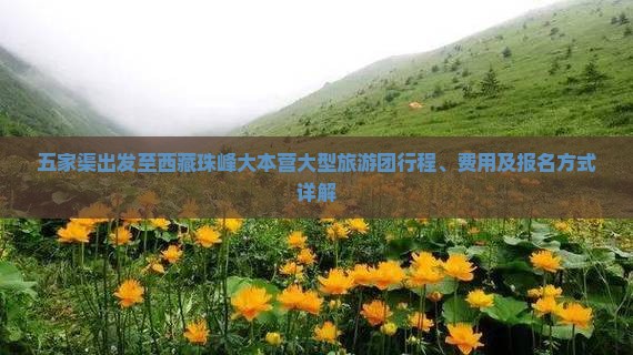 五家渠到西藏珠峰大本营大型旅游团