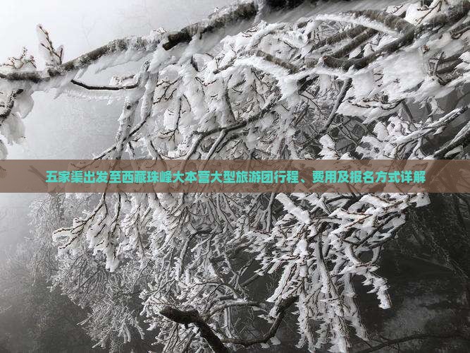 五家渠到西藏珠峰大本营大型旅游团