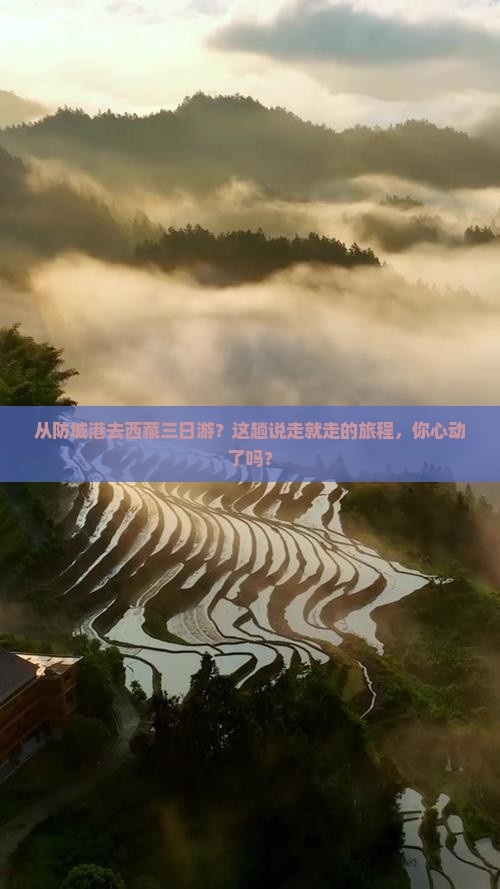 防城港到西藏三日游